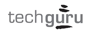 A dark grey font spells out 'techguru' with 2 brush strokes over the letters 'ur' and one brush stroke under them as well