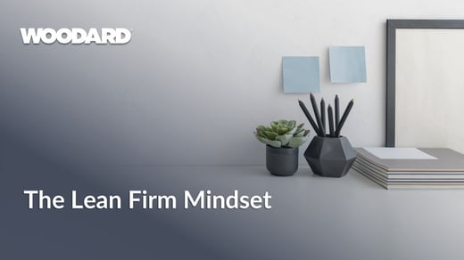 Lean firm 2