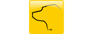 A yellow brush stroke outlines a dog's profile followed by the name 'accountingsuite'