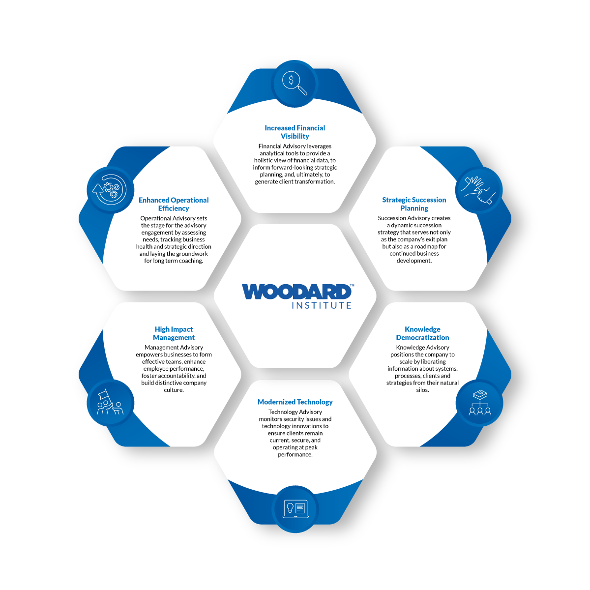 six hexagon sections with large hexagon in the middle of the pattern. The large middle section is labeled 'Woodard Institute' Decrease the screen size to see the text in this image below 960px.